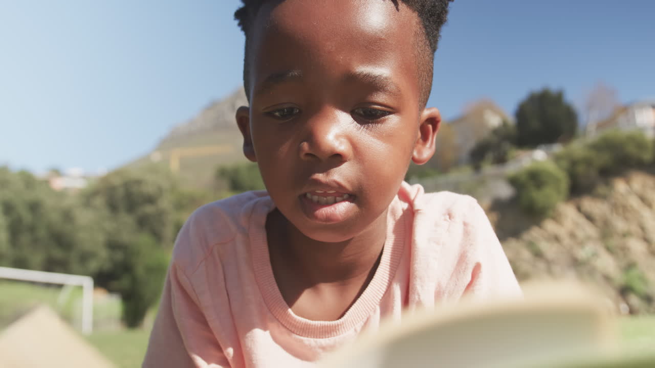 Reading book, young boy focusing on schoolwork outdoors in sunlight