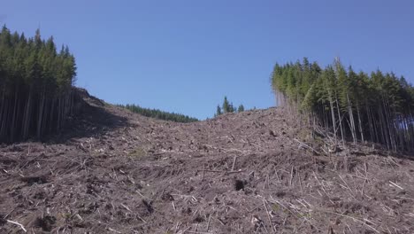 aerial tilt up a logged hillside