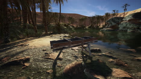 un oasis desértico con palmeras y un lago
