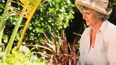 Abuela-Trabajando-En-El-Jardín