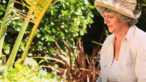 abuela trabajando en el jardín