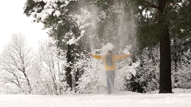 Persona che cammina nel bosco.