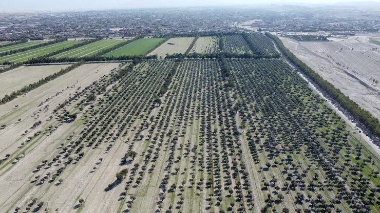 vista aérea de los jardines de nangarhar
