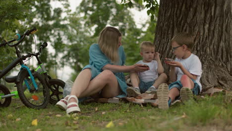 a mother and her two children sit on the ground under a tree, the mother offers a snack to her younger child, who refuses it, pointing towards the older sibling s snack