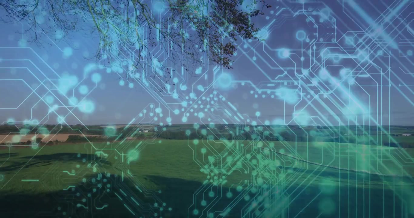 Steady camera holding green field before materializing digital circuit overlay simulating data flow