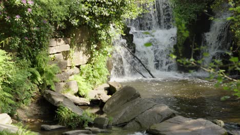 reveal of beautiful waterfall in forest with river and rocks - slow motion footage