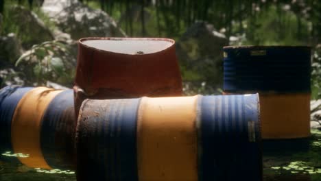 rusty barrels in green forest