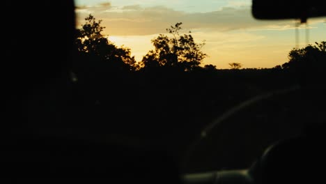 Golden-sunset-rays-through-African-bush-as-safari-vehicle-drives