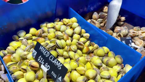 variedad de almejas y pipis en exhibición