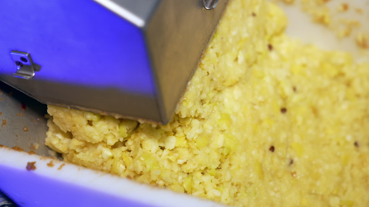 Yellow apple pulp comes out from the crusher. Freshly grinded apples ready to be squeezed. Close up.
