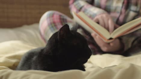 studious pet owner reading book with black cat medium shot