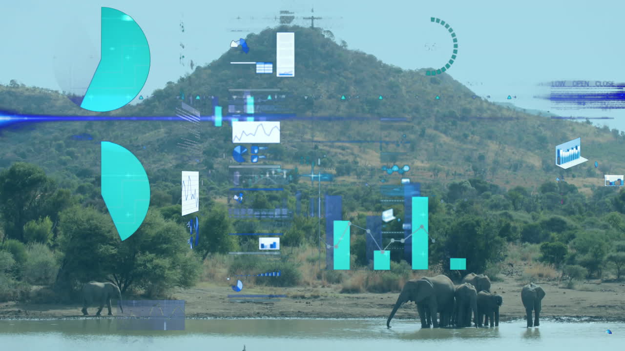 Elephants by water with data processing animation over mountainous landscape