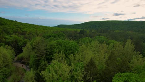 aerial drone video footage of a vast endless forest with rolling green hills in the mountains during summer