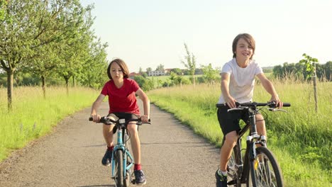 cute happy children, brothers, riding bikes in the park on a sunny summer day, talking and laughing