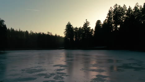 Drohnenflug-Aus-Der-Luft-über-Den-Zugefrorenen-See-Winter-Pruhonice-Wintersonne-Kiefern-Flugzeug