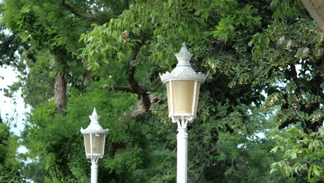 vintage white lampposts in a park