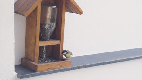 Chickadee-quickly-flies-into-frame,-lands-on-bird-feeder,-takes-seed,-flies-away