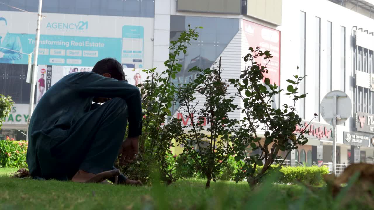 A gardener tending to flourish greenery with serene dedication.