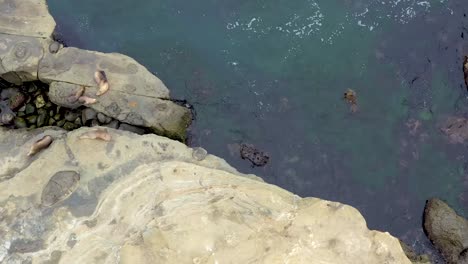 aerial view of la jolla cove in southern california