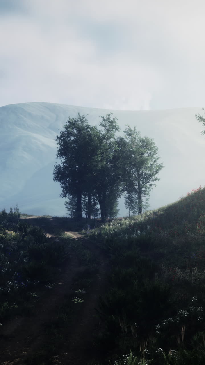 una vista panorámica de un sendero forestal que conduce a una colina en una mañana de niebla