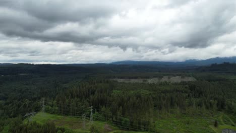 high-tension cables in the woods of bellevue, washington, as seen from an aerial drone flight