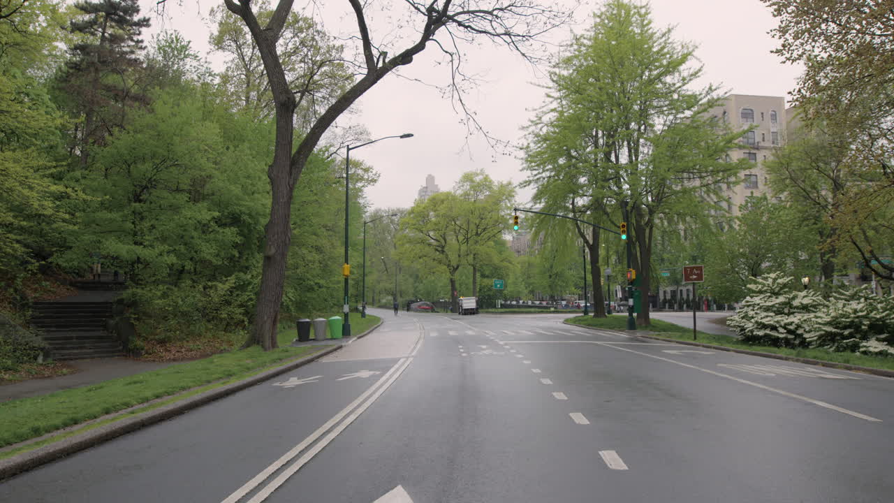 City Street and Park Scenes