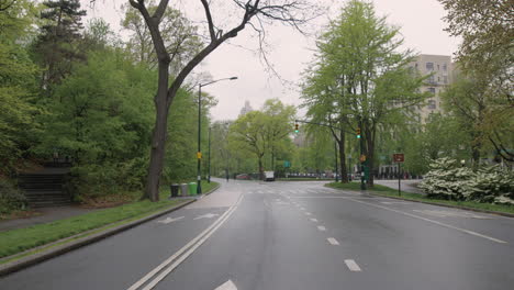 city street and park scenes