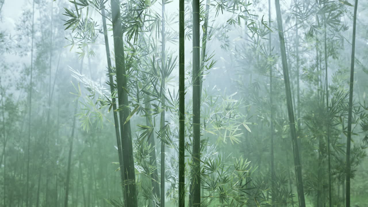 el bosque de bambú brumoso