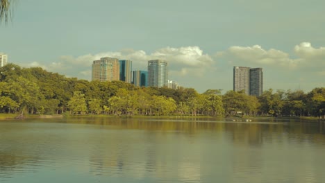 mirando un lago en el parque