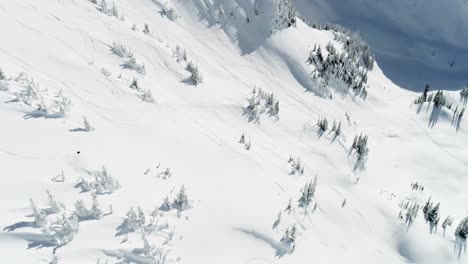 Skifahrer-Skifahren-Auf-Einem-Schneebedeckten-Berg-4k