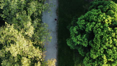 todavía toma aérea de una persona caminando por un sendero en el parque tierno galván