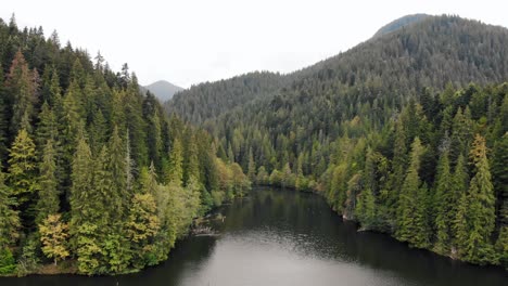 Vista-Aérea-Del-Lago-Rojo-Y-El-Bosque-De-Pinos-En-Las-Montañas-Hasmas-En-Rumania