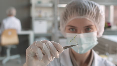 científico examinando una pequeña planta en un entorno de laboratorio.