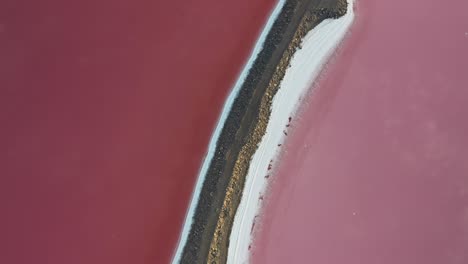 shades of pink divided by ground barrier, top down aerial view