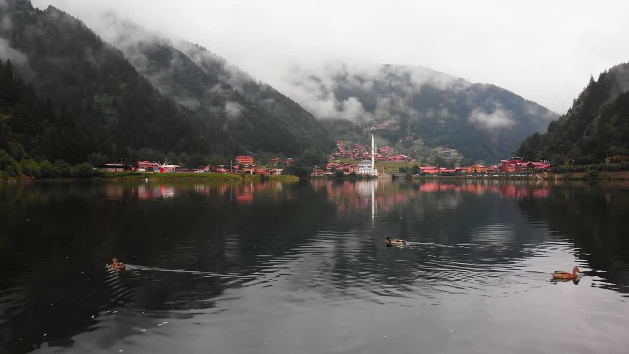 zoom en la vista tres patos nadan en el lago con el panorama de la aldea de uzungol en la mañana brumosa turquía famoso destino de viaje