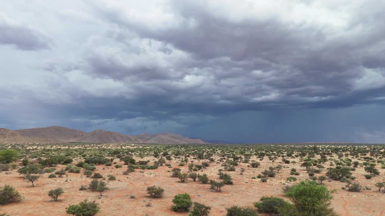 Ripresa aerea panoramica sul bushveld del Kalahari, con nuvole temporalesche che si addensano in lontananza
