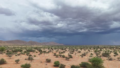 Schwenkende-Luftaufnahme-über-Dem-Buschland-Der-Kalahari,-In-Der-Ferne-Bilden-Sich-Gewitterwolken