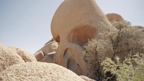 skull rock in joshua tree national park. this distinctive rock formation, resembling a skull emerging from the desert floor, adds a touch of intrigue and fascination to the unique landscape