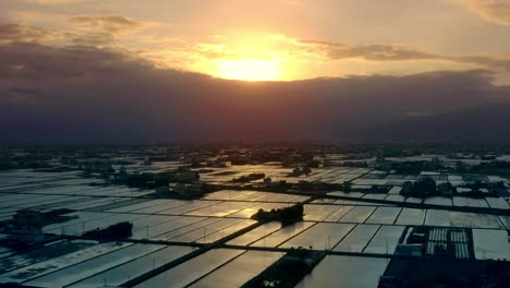 Aerial-panoramic-view-of-flooded-rice-field-paddies-Plantation-during-golden-sunset-behind-clouds