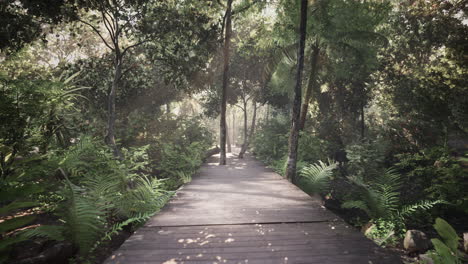 Camino-Peatonal-De-Madera-Que-Atraviesa-Un-Hermoso-Bosque-Otoñal