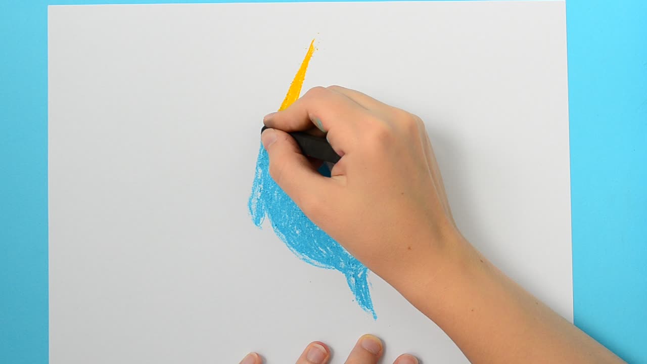 Draw a dolphin. Monodon monoceros. The child draws the picture