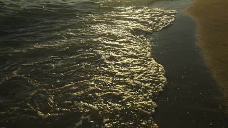 waves at the beach at sunset