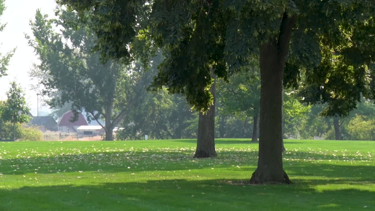 zelený park s mnoha stromy v meridianu, idaho na horký letní den s malým kouřem