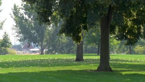 a green park with lots of trees in meridian, idaho on a hot summer day with a little smoke