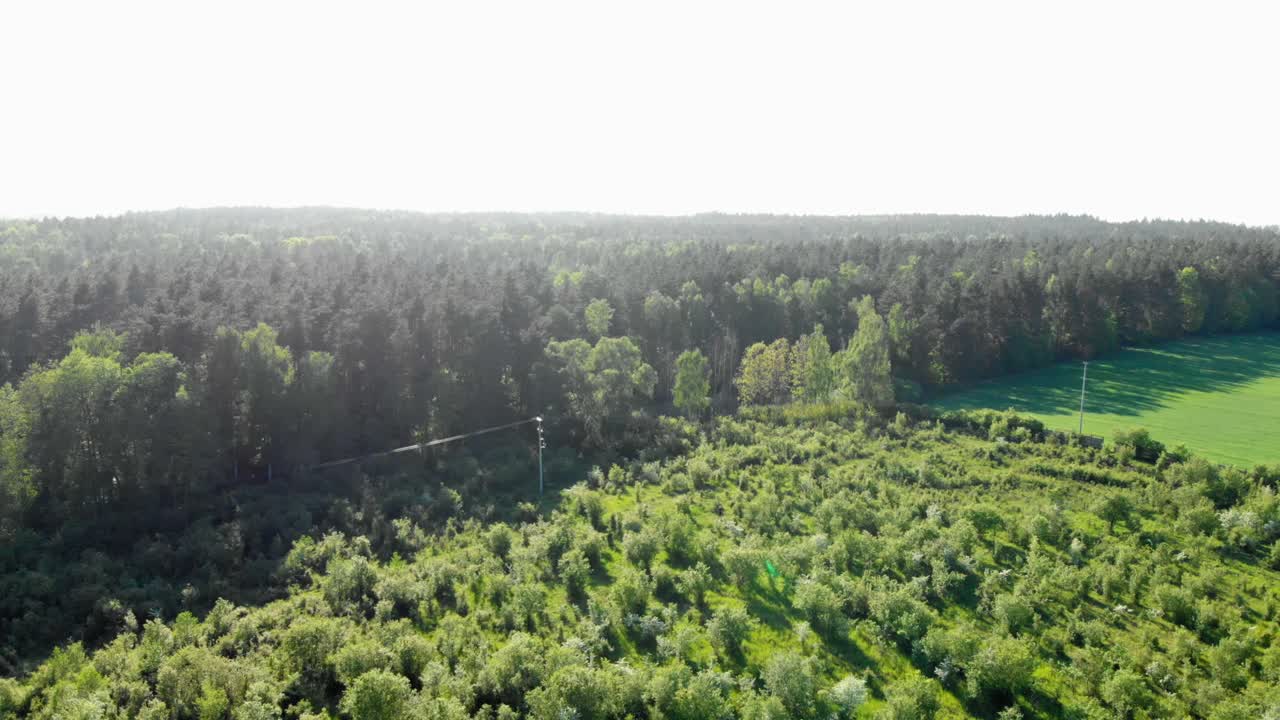ポーランドのポモルスキ県にある牧草地。