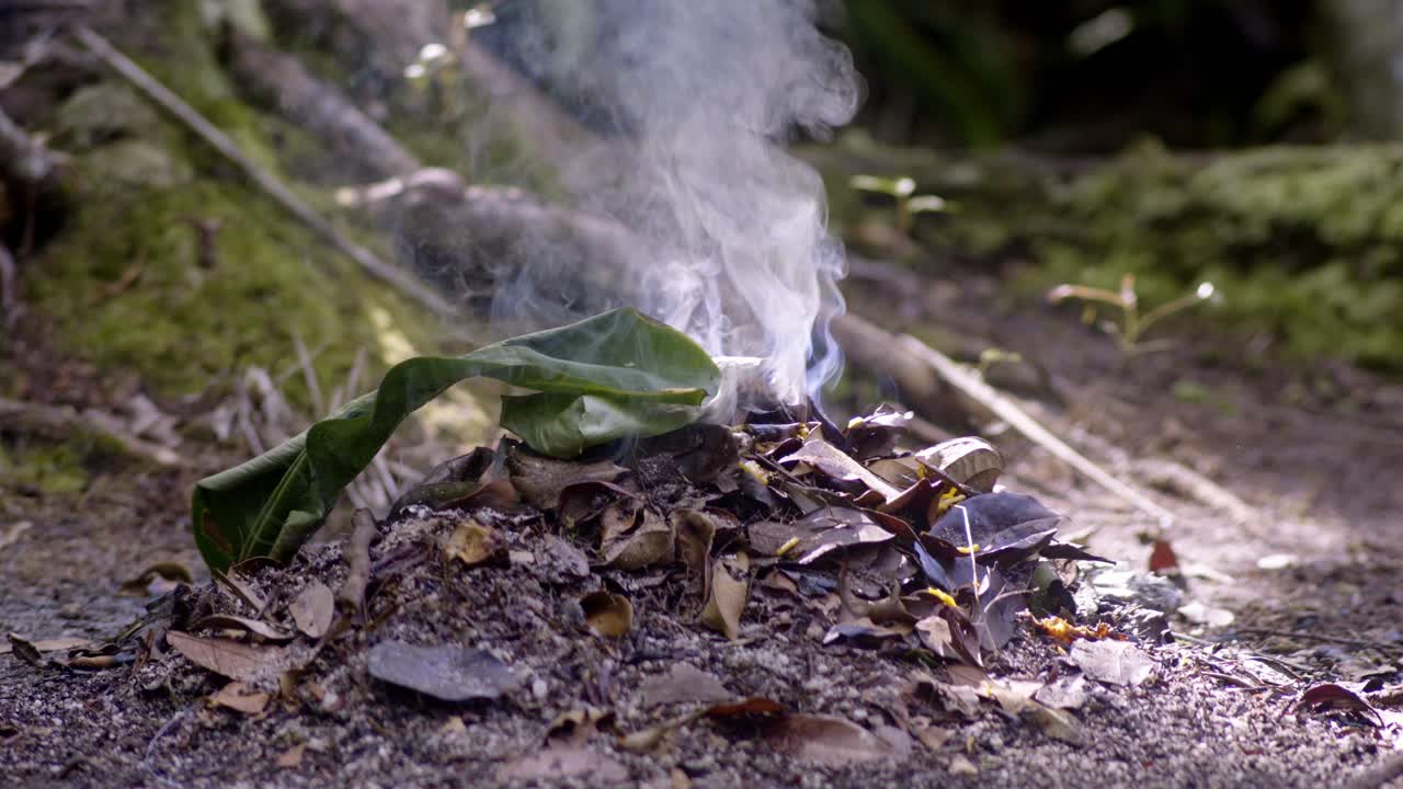 Smoke rising from a small fire in a forest