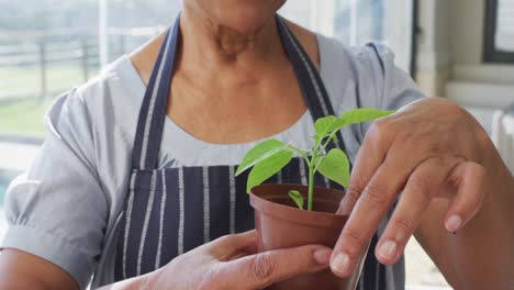 mujer mayor afroamericana con delantal sonriendo mientras sostiene una maceta de plantas en casa