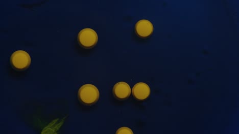 macro footage of yellow ink dots moving towards each other on a dark blue surface