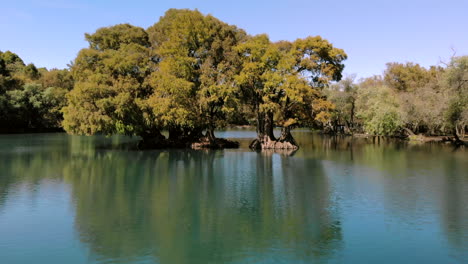 DRONE:-REVEAL-SHOT-OF-LAKE-AND-TREE-ISLAND