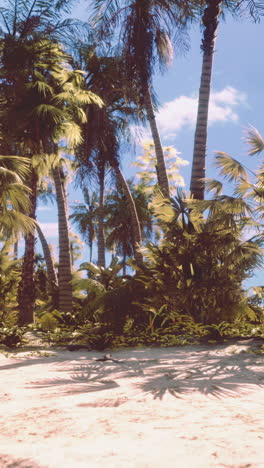 tropical beach paradise with lush palm trees